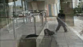 quelle action!