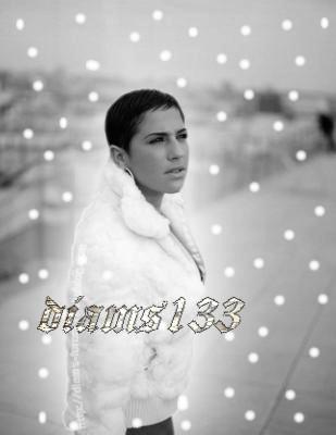 diam's133