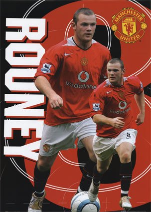 wayne ronney